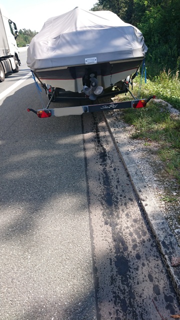 DSC_0250 bearbeitet groß.jpg